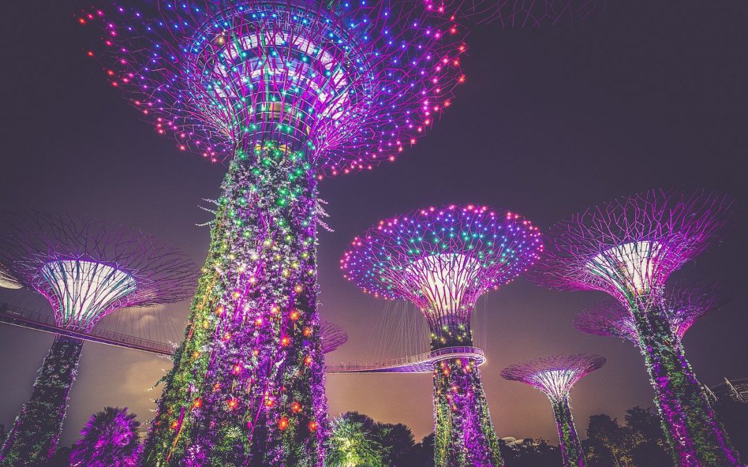 Singapore a 360°: tour guidato IN ESCLUSIVA