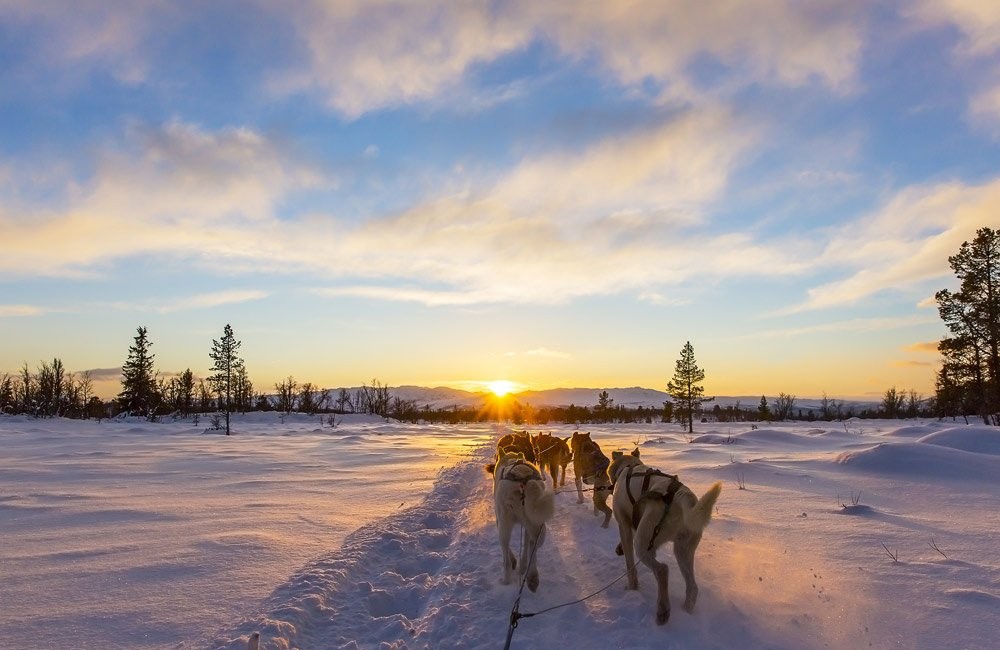 Finlandia: Speciale Inverno