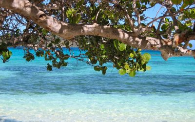 Pasqua a Barbados