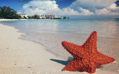 Bahamas