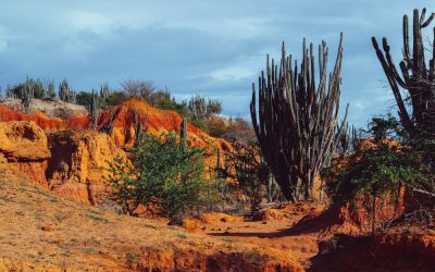Messico – Speciale Agosto